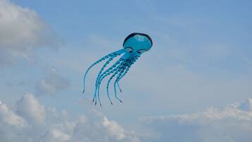 Una cometa azul con forma de pulpo volando en el cielo.