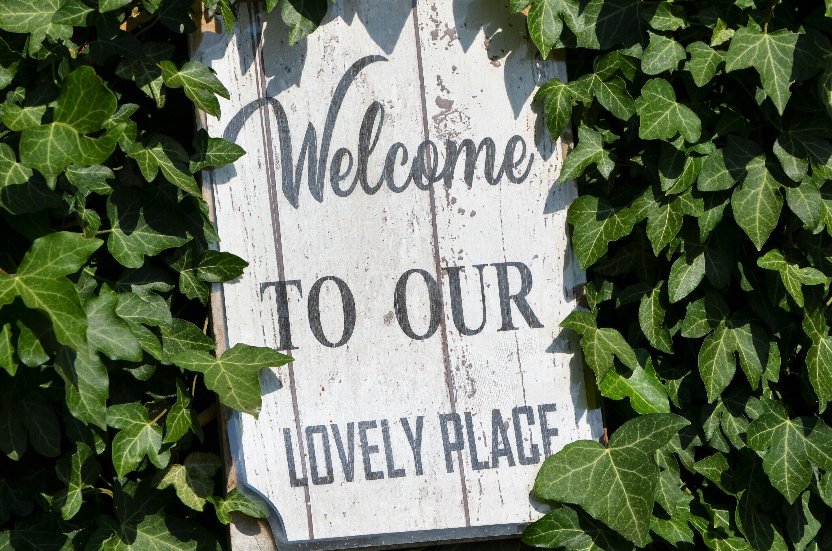 A wooden sign with the text "Welcome to our lovely place" surrounded by green ivy.