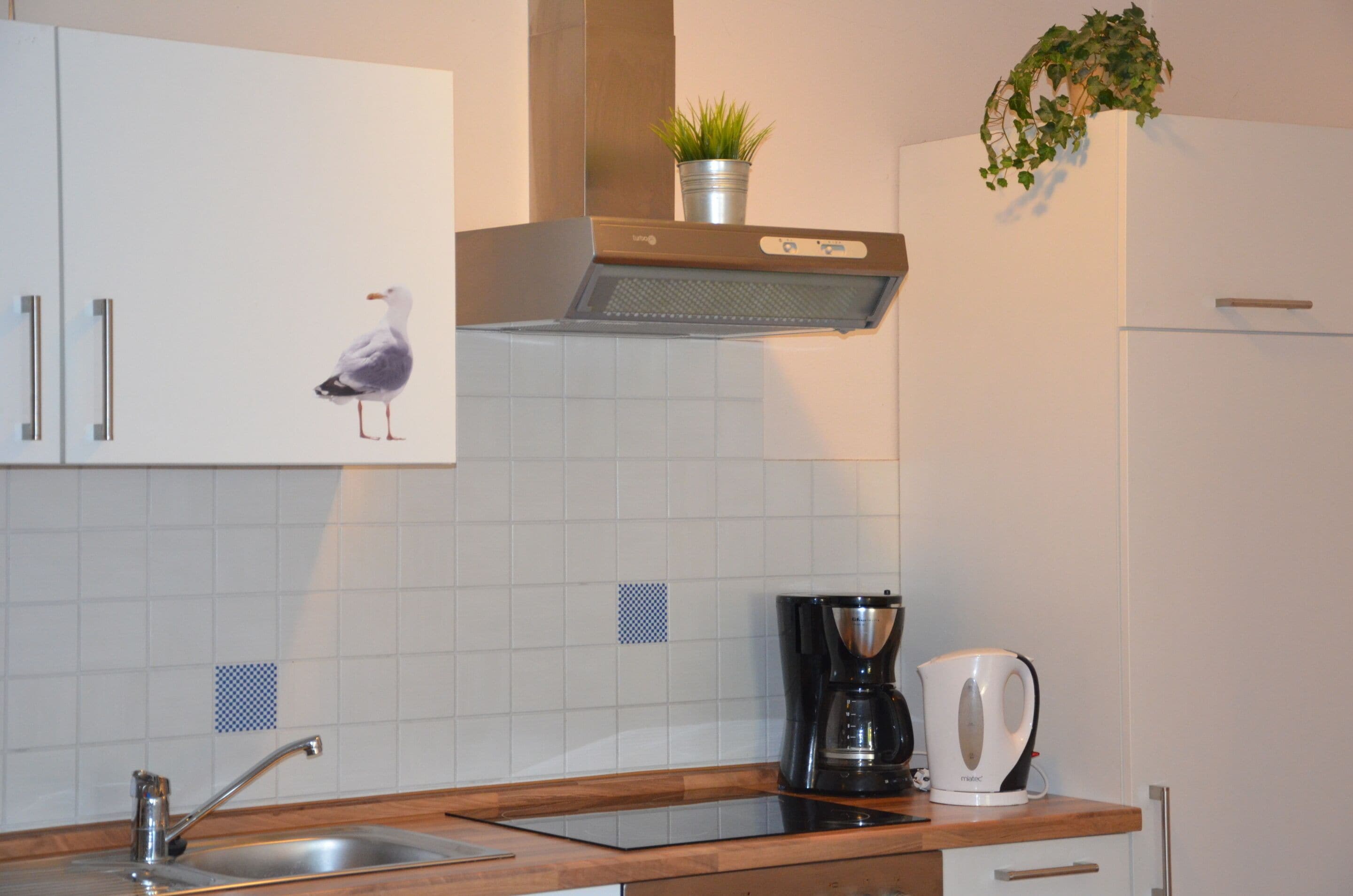 Eine Küche mit weißen Schränken, einer Edelstahlspüle, einer Kaffeemaschine und einem Wasserkocher.