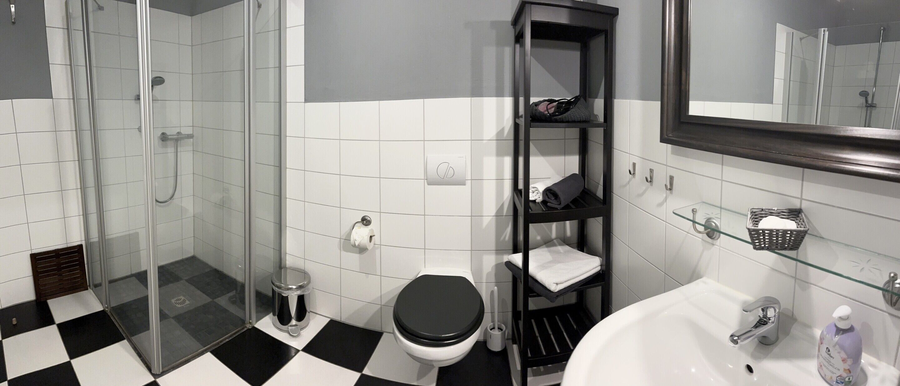 Une salle de bain avec une douche à parois de verre, des toilettes, un lavabo et un miroir.