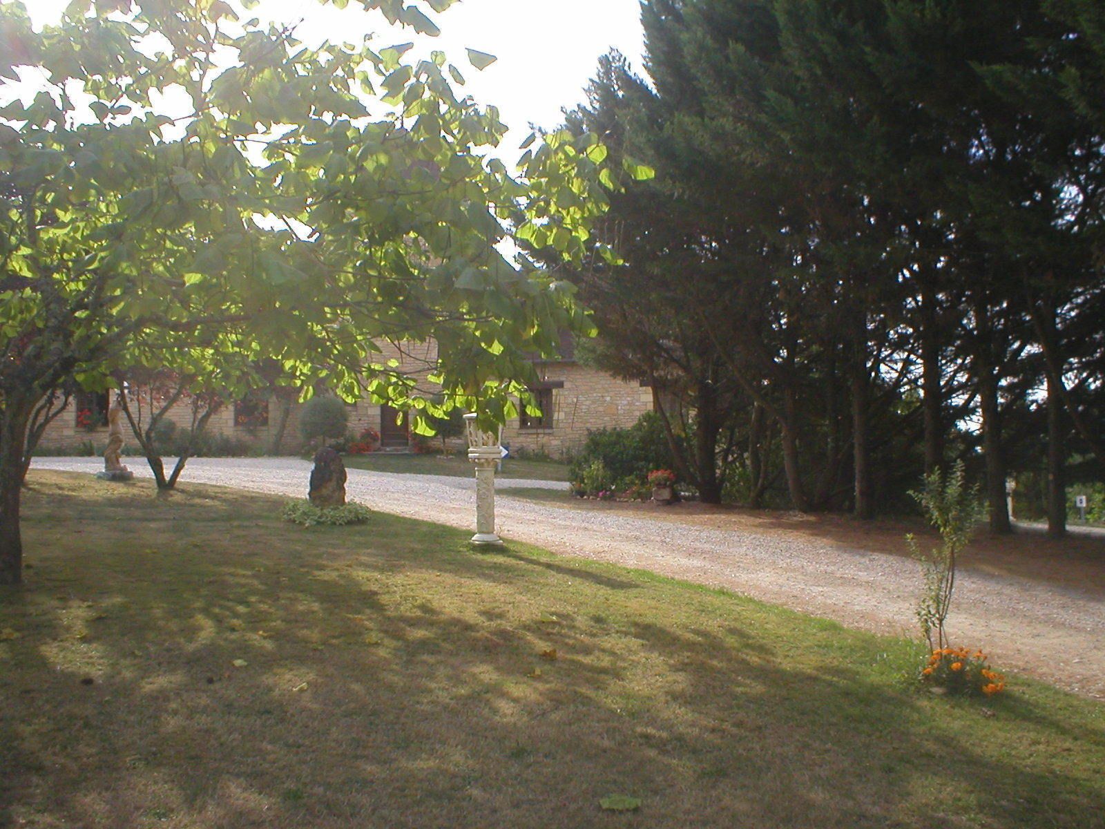 garden