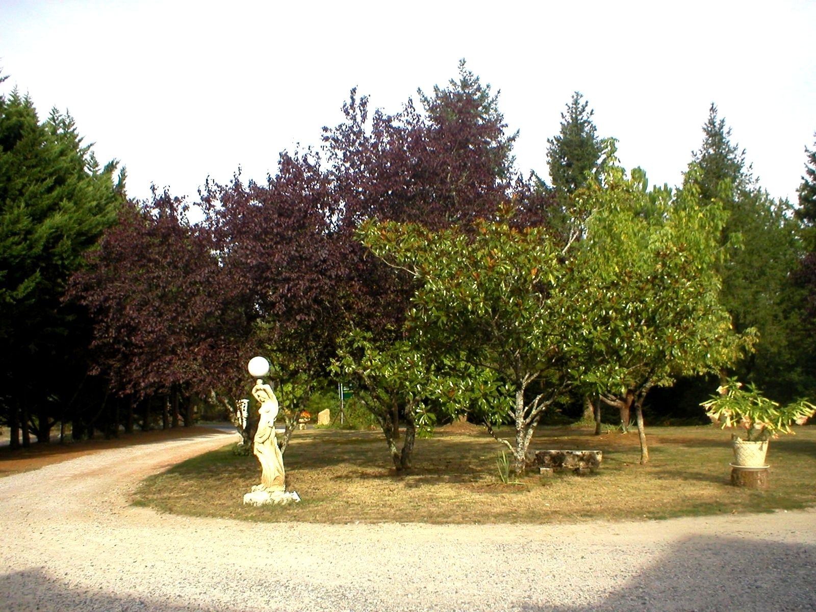 garden