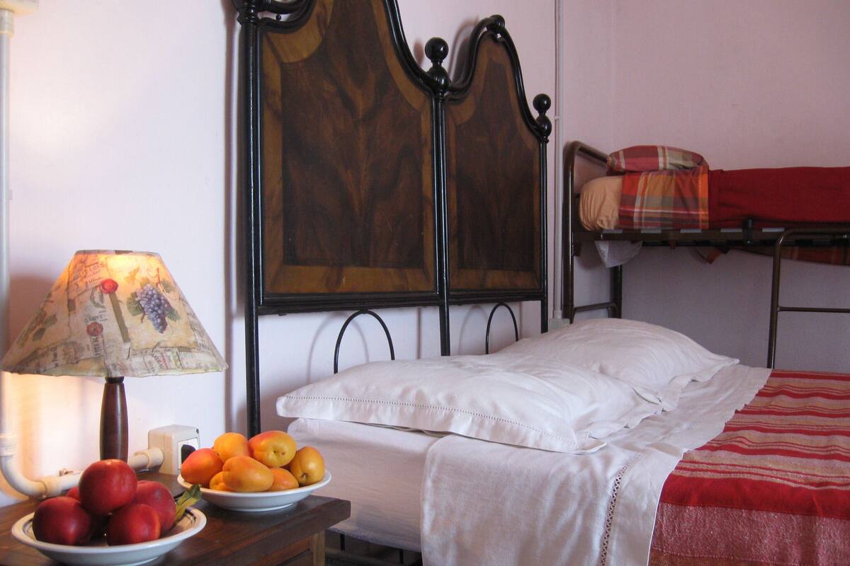 A single bed with a white sheet and a red blanket, a bedside table with a lamp and a bowl of fruit, and a wall-mounted painting.
