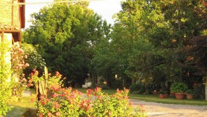 A garden with a gravel path, flowering plants, and a variety of trees. - Prisca (Ravenna)