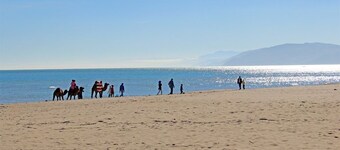 Residence Manel Cabo 2