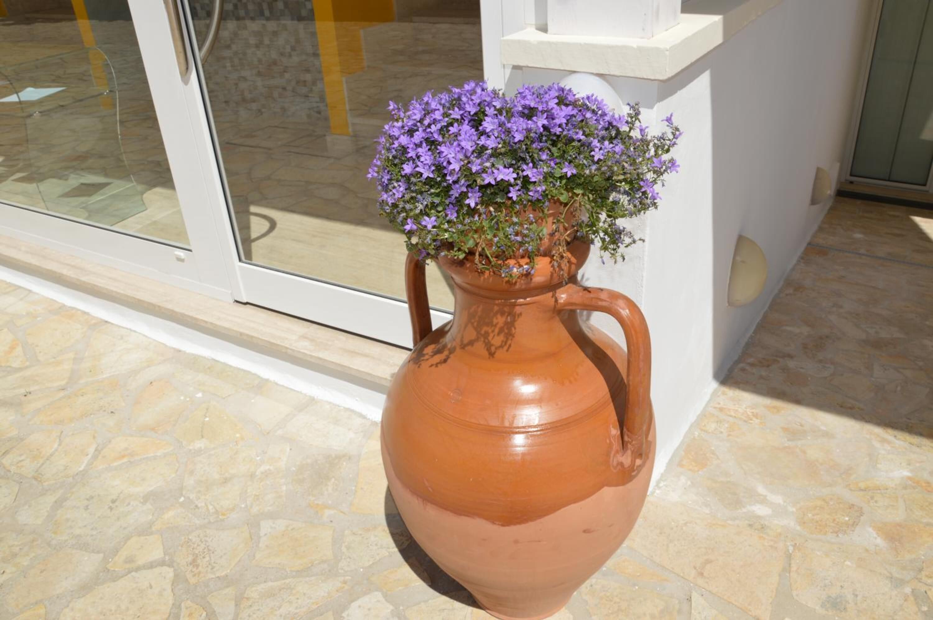 Un pot en terre cuite orné de fleurs violettes, posé sur un sol carrelé, à côté d’un mur blanc et d’une porte en verre.