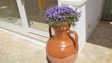 Un pot en terre cuite orné de fleurs violettes, posé sur un sol carrelé, à côté d’un mur blanc et d’une porte en verre.