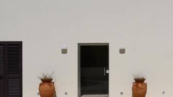 A building with a flat facade, a central entrance, and two potted plants on either side.