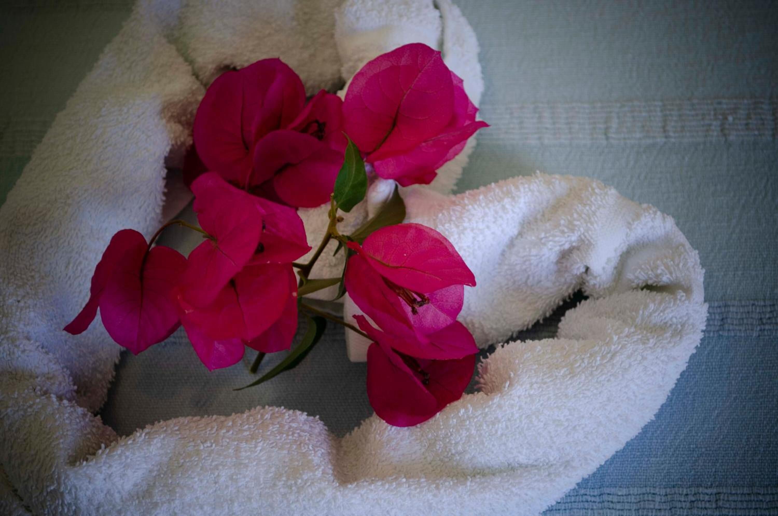 Photo - Hotel Angelino