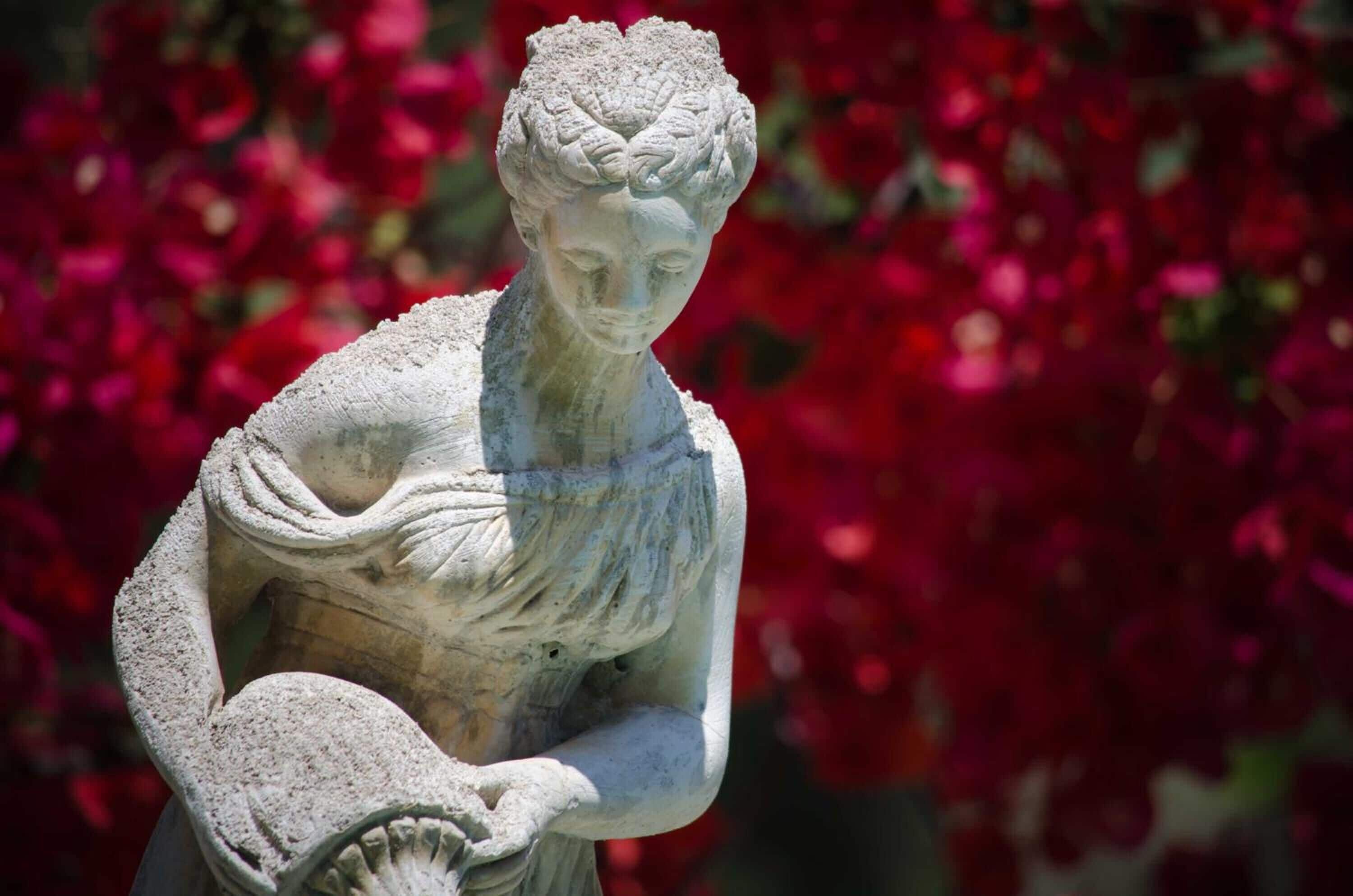 Photo - Hotel Angelino