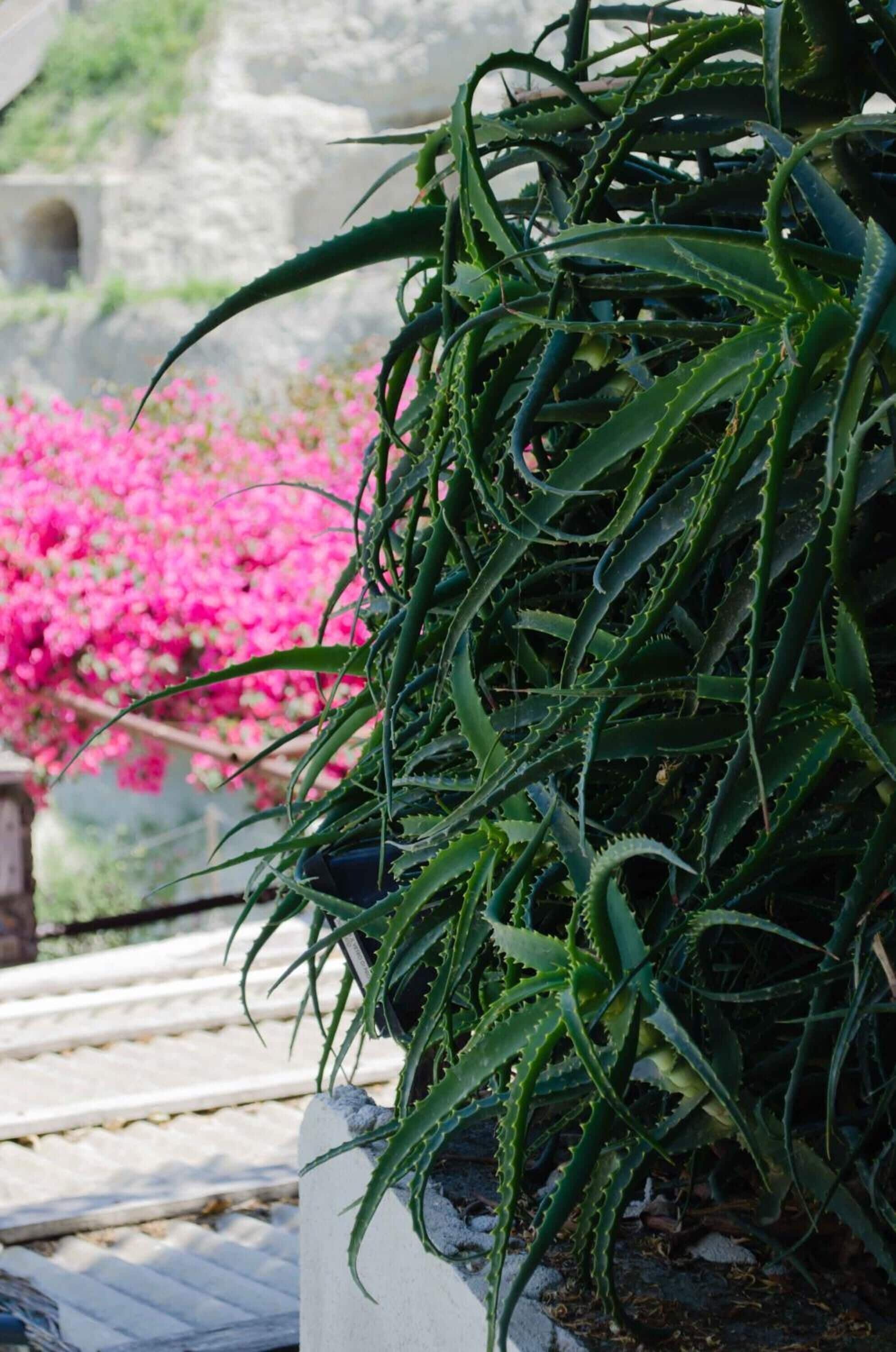 Photo - Hotel Angelino