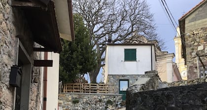 New Arcobaleno Ossegna