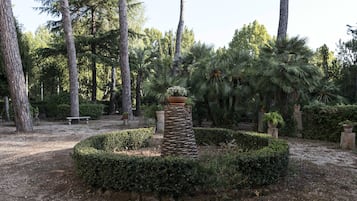 Áreas de la propiedad
