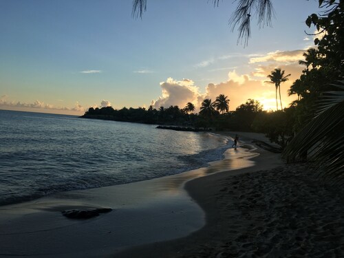 Top of the Hill n. 6