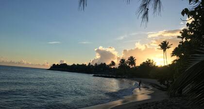 Top of the Hill n. 6