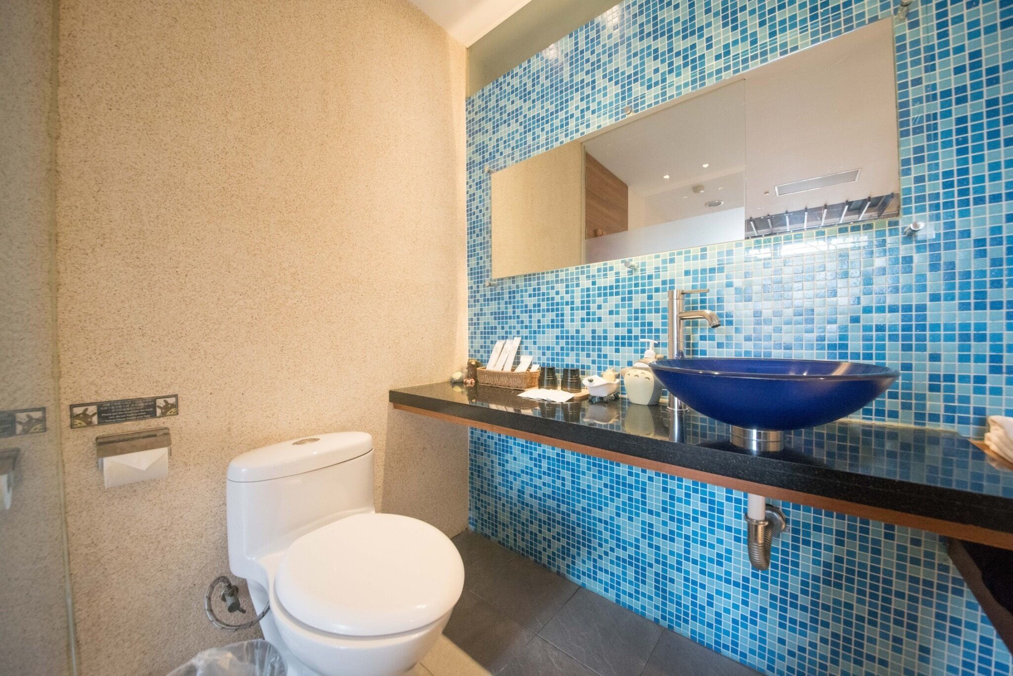A bathroom with a toilet, a sink with a blue basin, and a tiled backsplash.