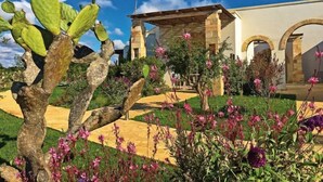 A desert landscape with cacti and flowering plants, a stone building with arches, and a clear blue sky. - Tenuta Vigna Corallo (Otranto)