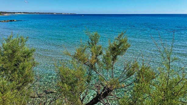 A coastal landscape with clear turquoise waters, a distant shoreline, and foreground vegetation. - Tenuta Vigna Corallo (Otranto)