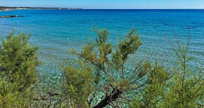 Tenuta Vigna Corallo