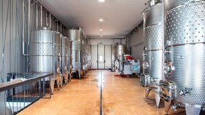 A clean, industrial-style room with stainless steel tanks and a polished concrete floor. - Tenuta Vigna Corallo (Otranto)