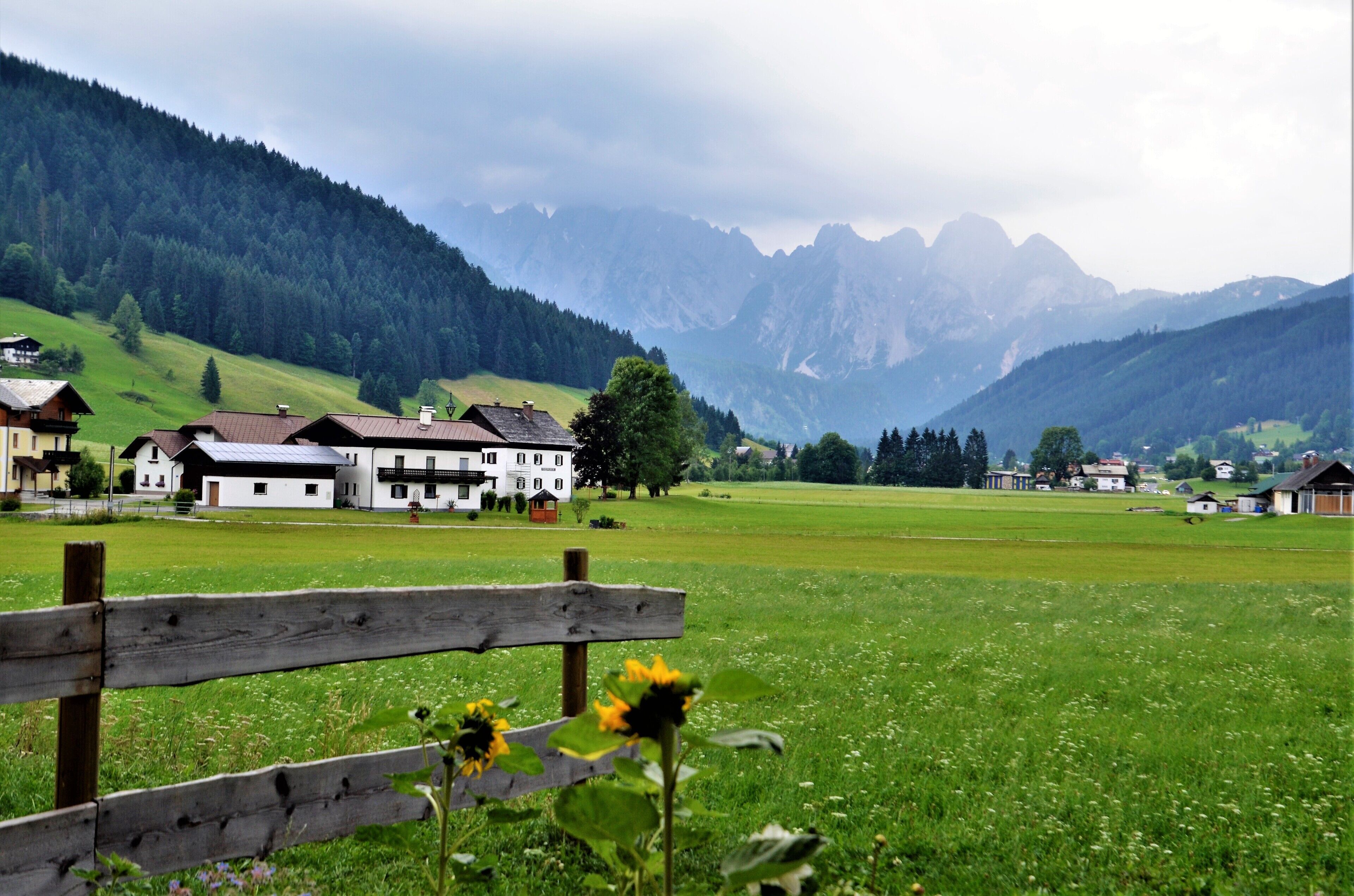 panoramic room, mountain view (gosaukamm) | mountain view