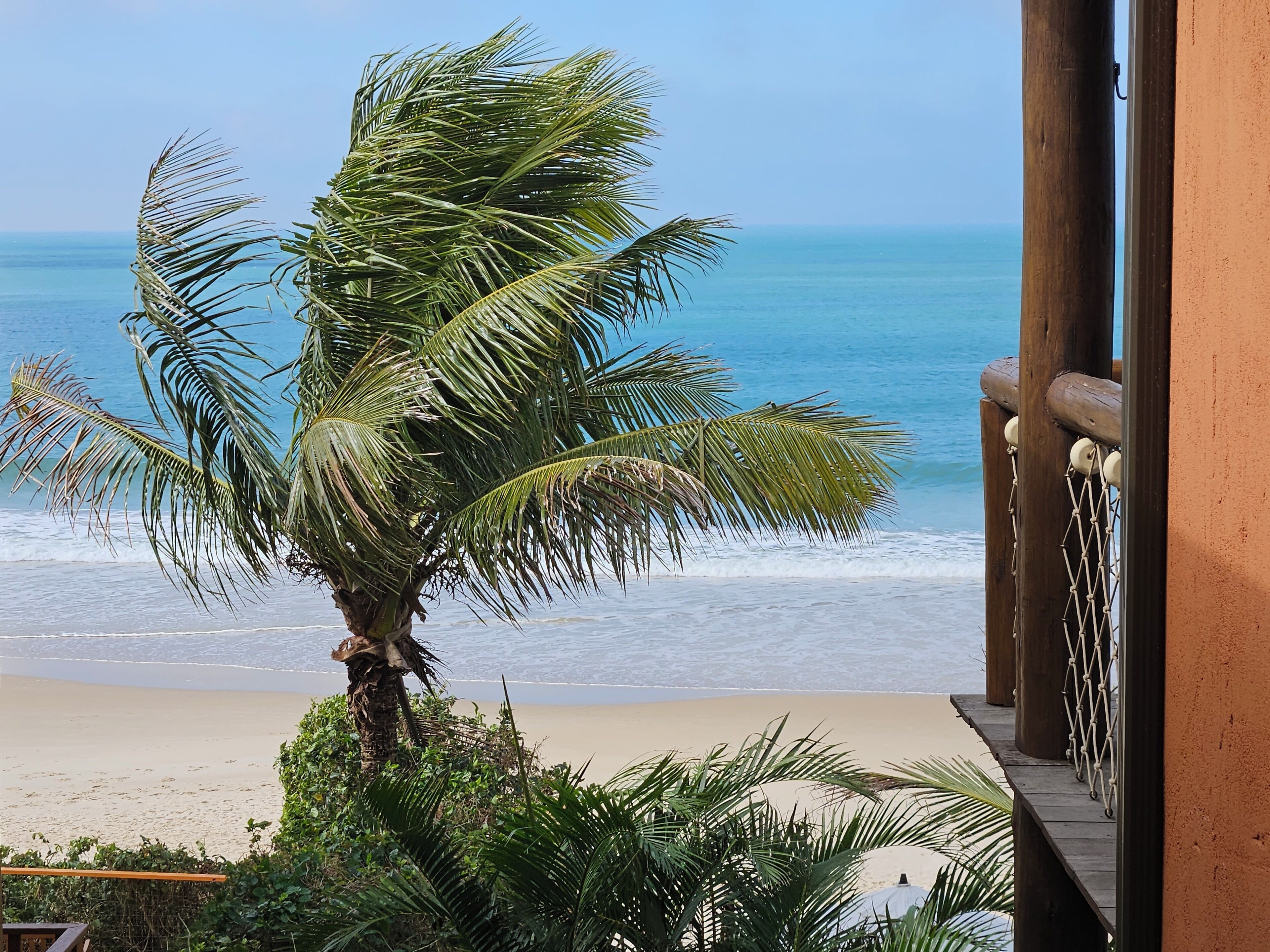 A beach view with a palm tree and a wooden railing.