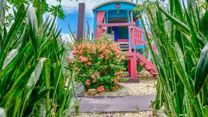 A colorful building with a blue roof and pink accents, surrounded by lush greenery and a gravel path leading to it. - Mammaloes (Santa Cruz)