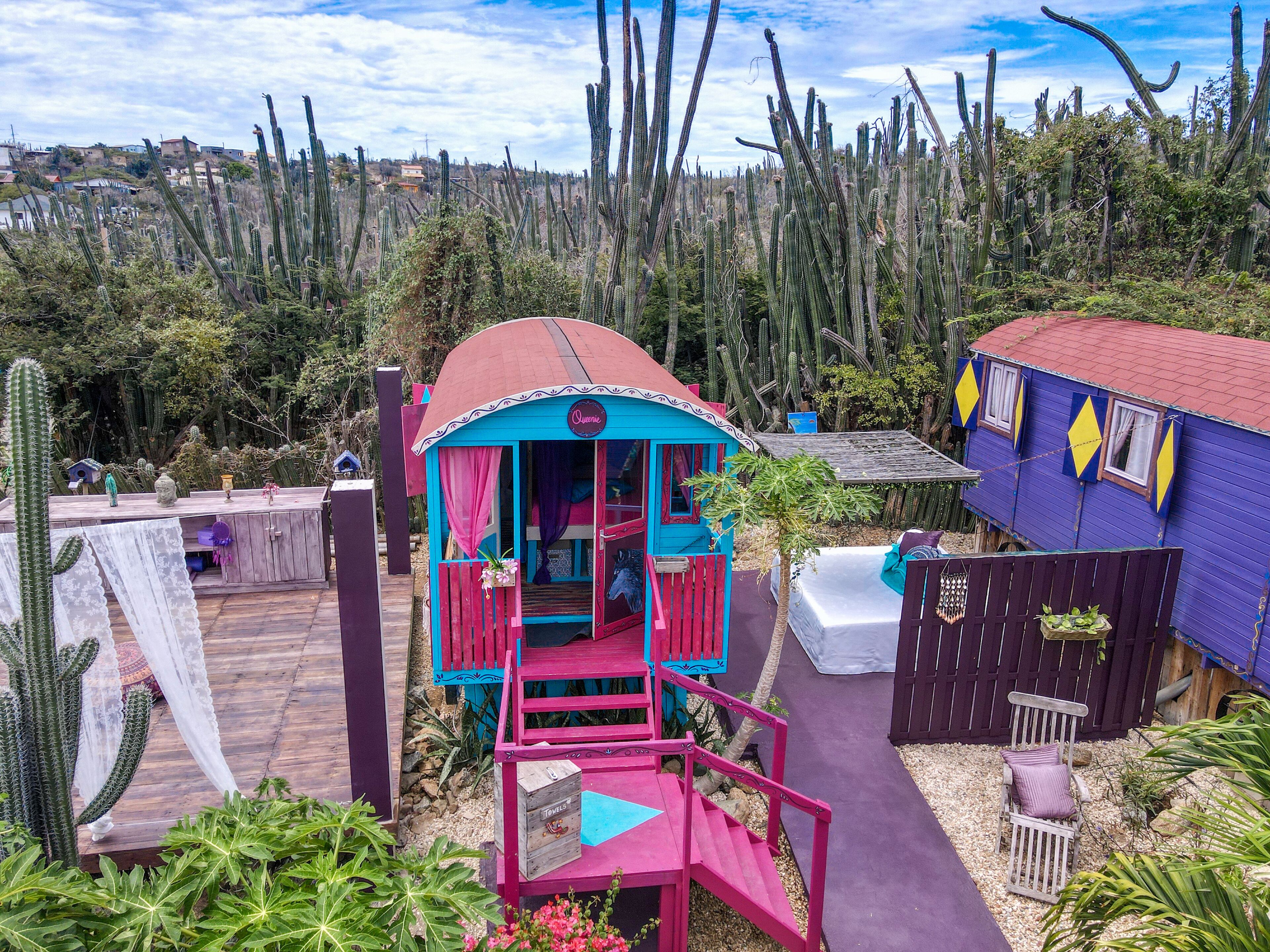 A colorful, rustic-style cabin with a red roof and turquoise walls, surrounded by a variety of cacti and plants.