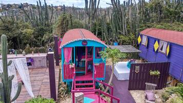 A colorful, rustic-style cabin with a red roof and turquoise walls, surrounded by a variety of cacti and plants.