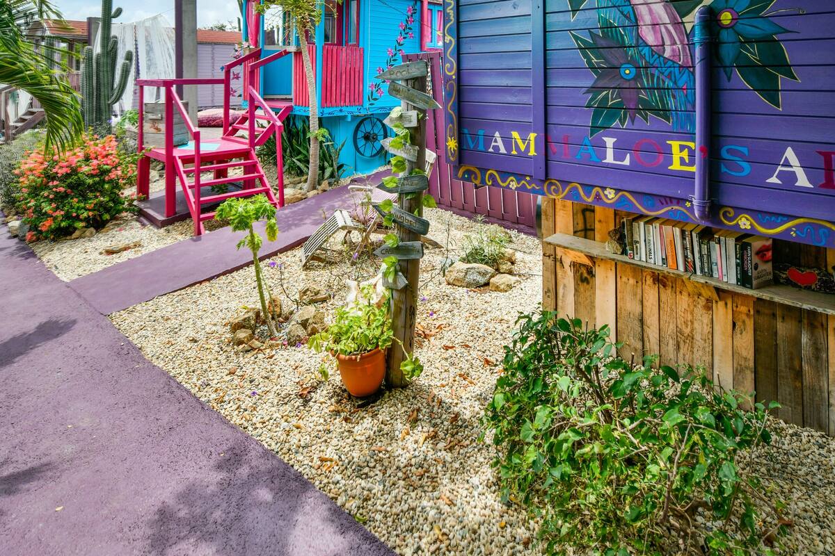 Un edificio colorido con un mural, rodeado de cactus y plantas.