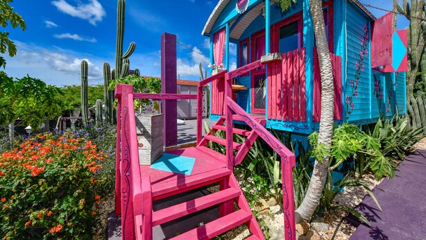 A colorful building with a pink staircase leading to a door, surrounded by cacti and colorful plants. - Mammaloes (Santa Cruz)