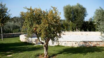 A tree with fruit in a landscaped area with a stone wall and grass.
