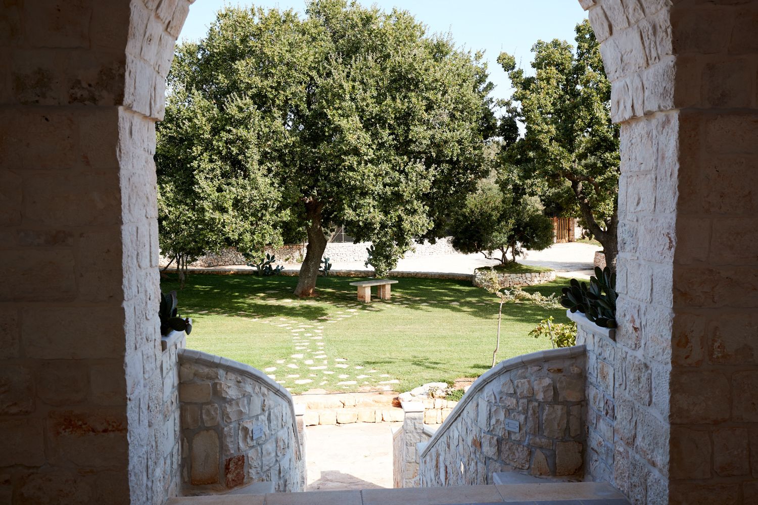 حديقة