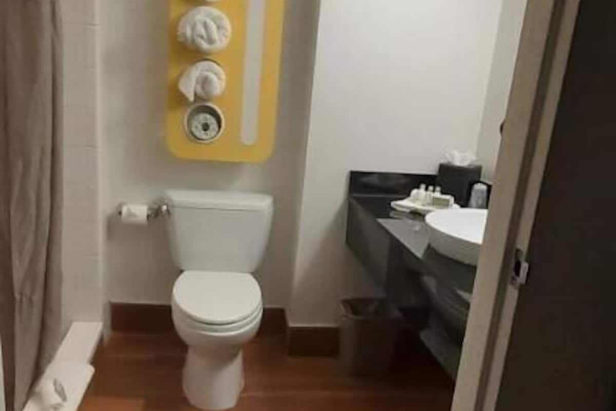 free toiletries, hair dryer, towels, soap