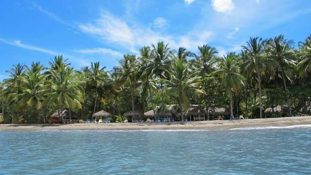 A beach with palm trees and thatched-roof huts.