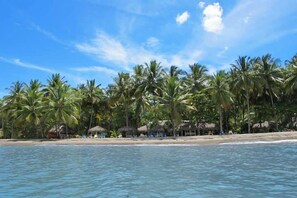 Een strand met palmbomen en hutten met rieten daken.