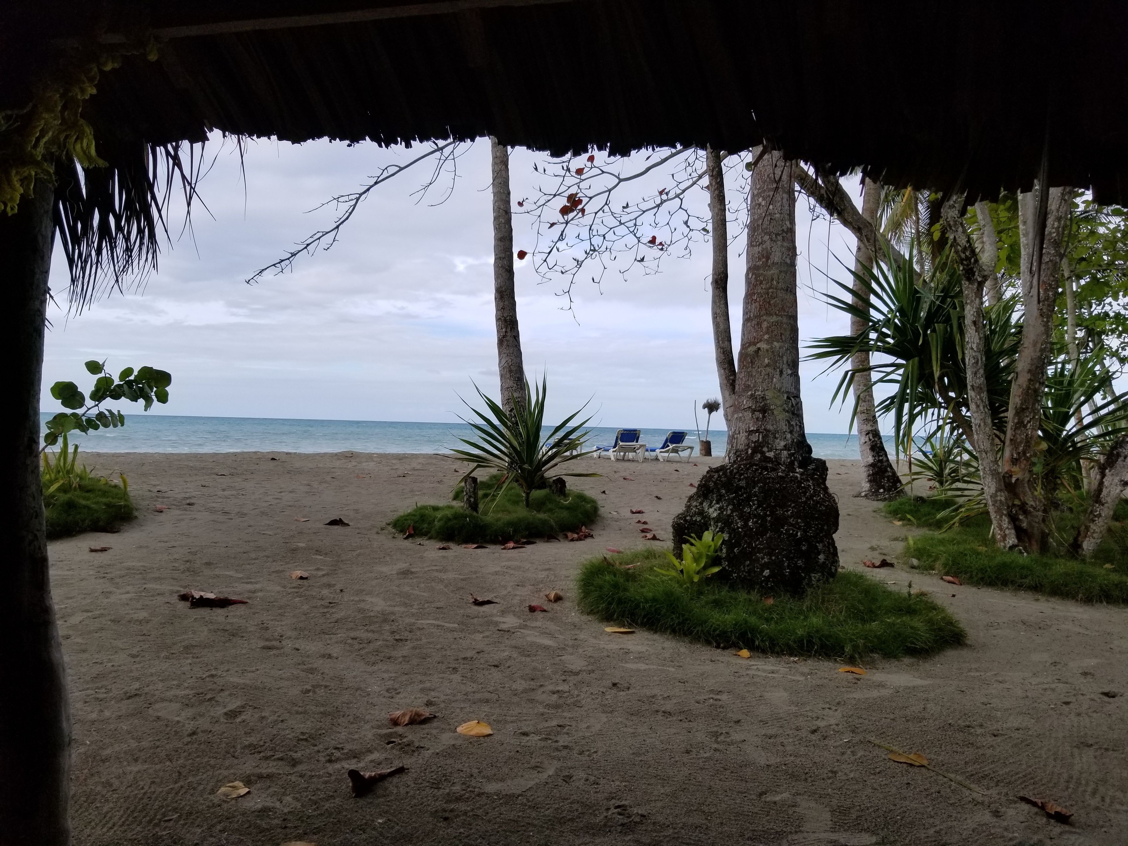 gri gri  | beach/ocean view