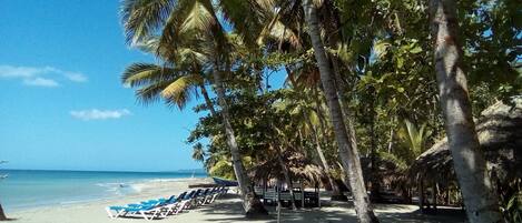 Private beach, sun-loungers, beach towels