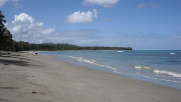 Uma praia com costa arenosa, águas calmas e uma ilha arborizada ao longe.