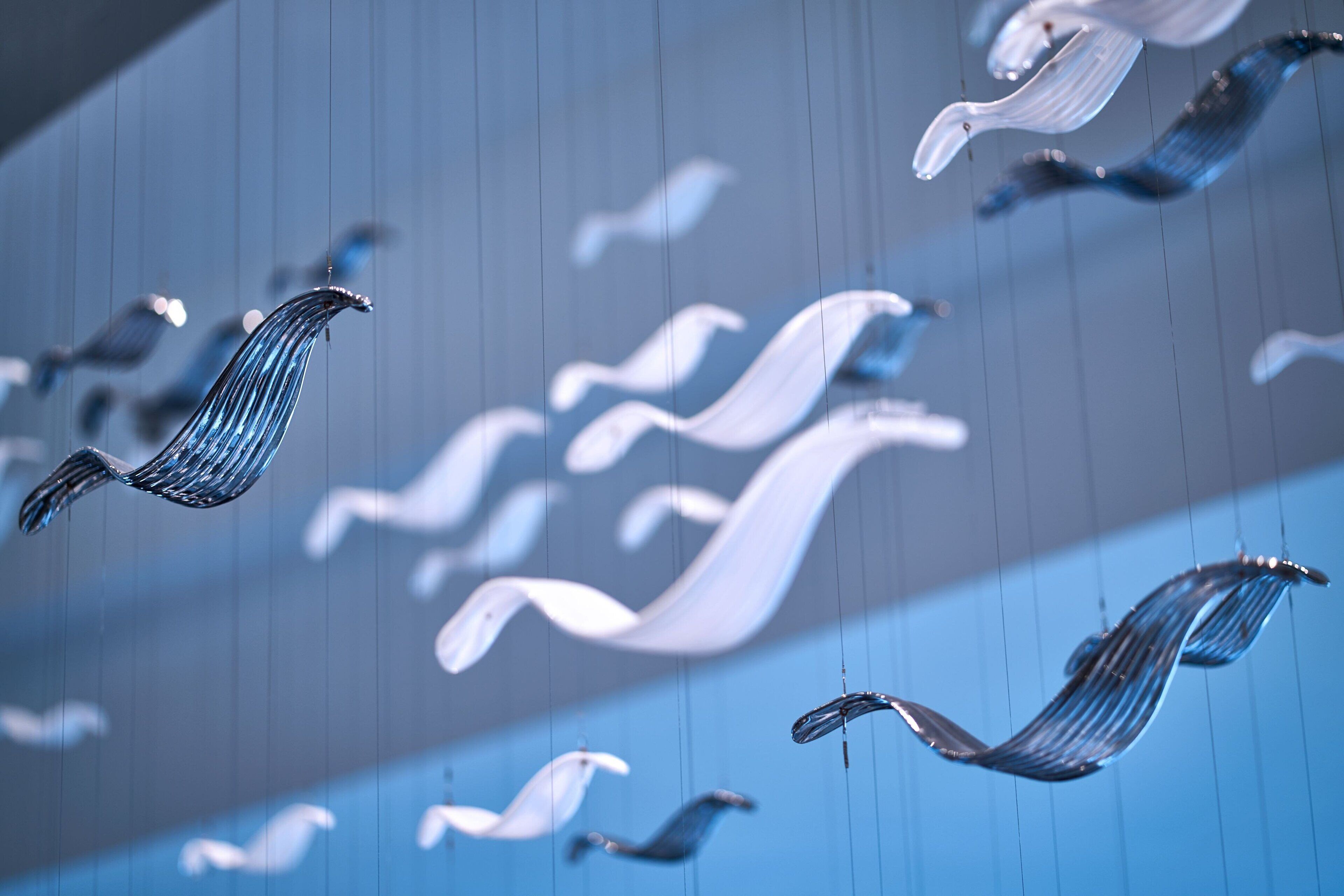 A series of hanging, translucent, wave-like structures against a blue background.