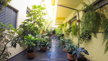 Área da propriedade