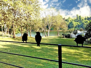 Vorona Cottage King | Lake view
