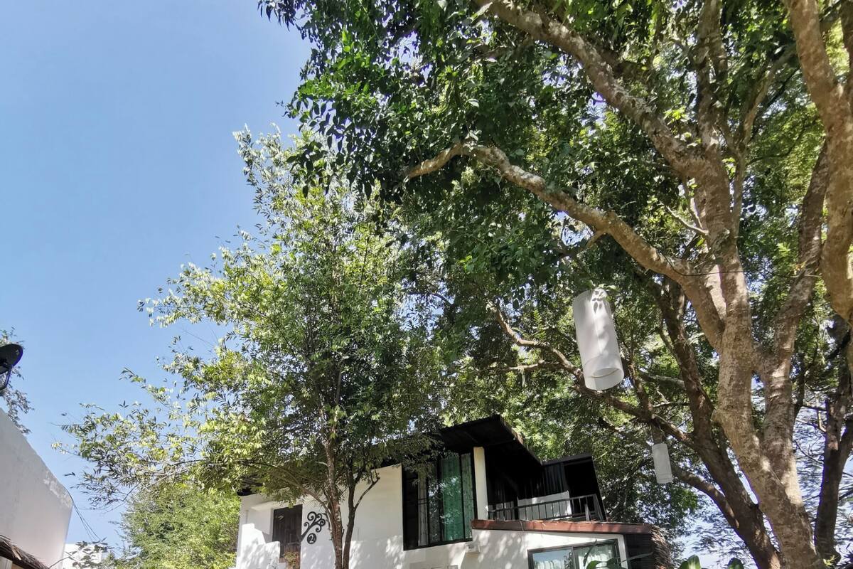 A two-story house with a white exterior, surrounded by lush greenery and trees.
