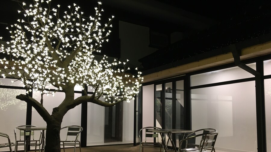 Hwadam Inn - Hostel