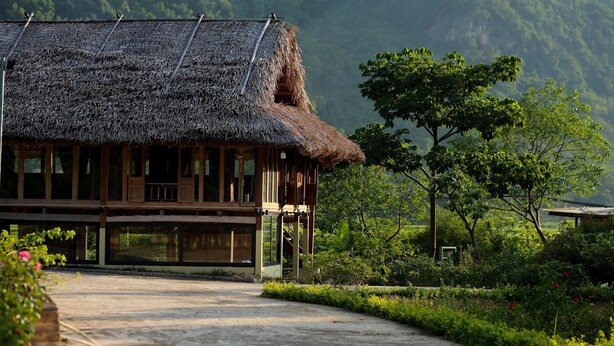 Une maison traditionnelle en bois, avec un toit de chaume, entourée d’une végétation luxuriante et bordée par une forêt.