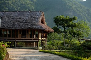 Une maison traditionnelle en bois, avec un toit de chaume, entourée d’une végétation luxuriante et bordée par une forêt.