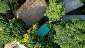 Jardín