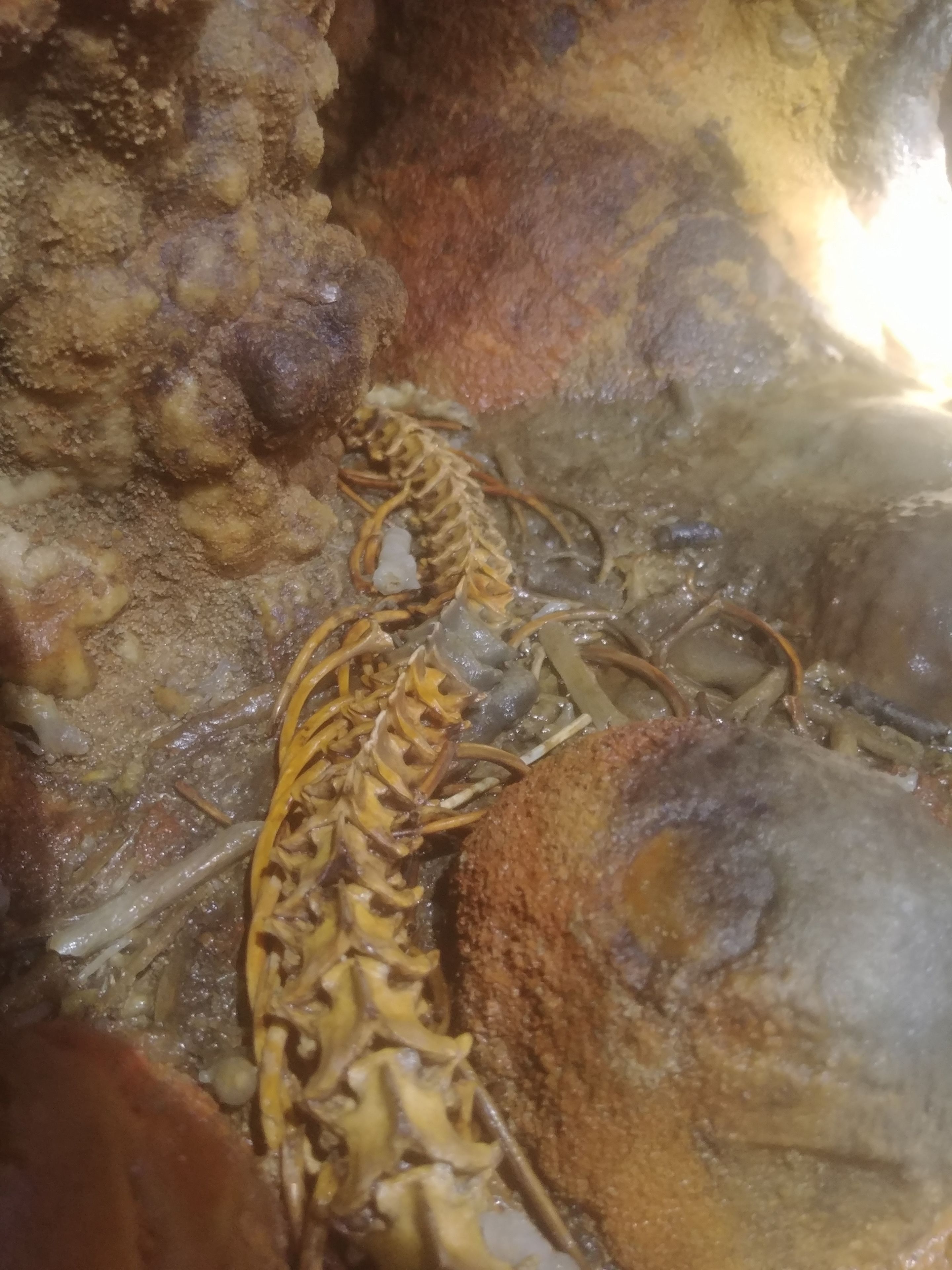 potholing/cave exploring