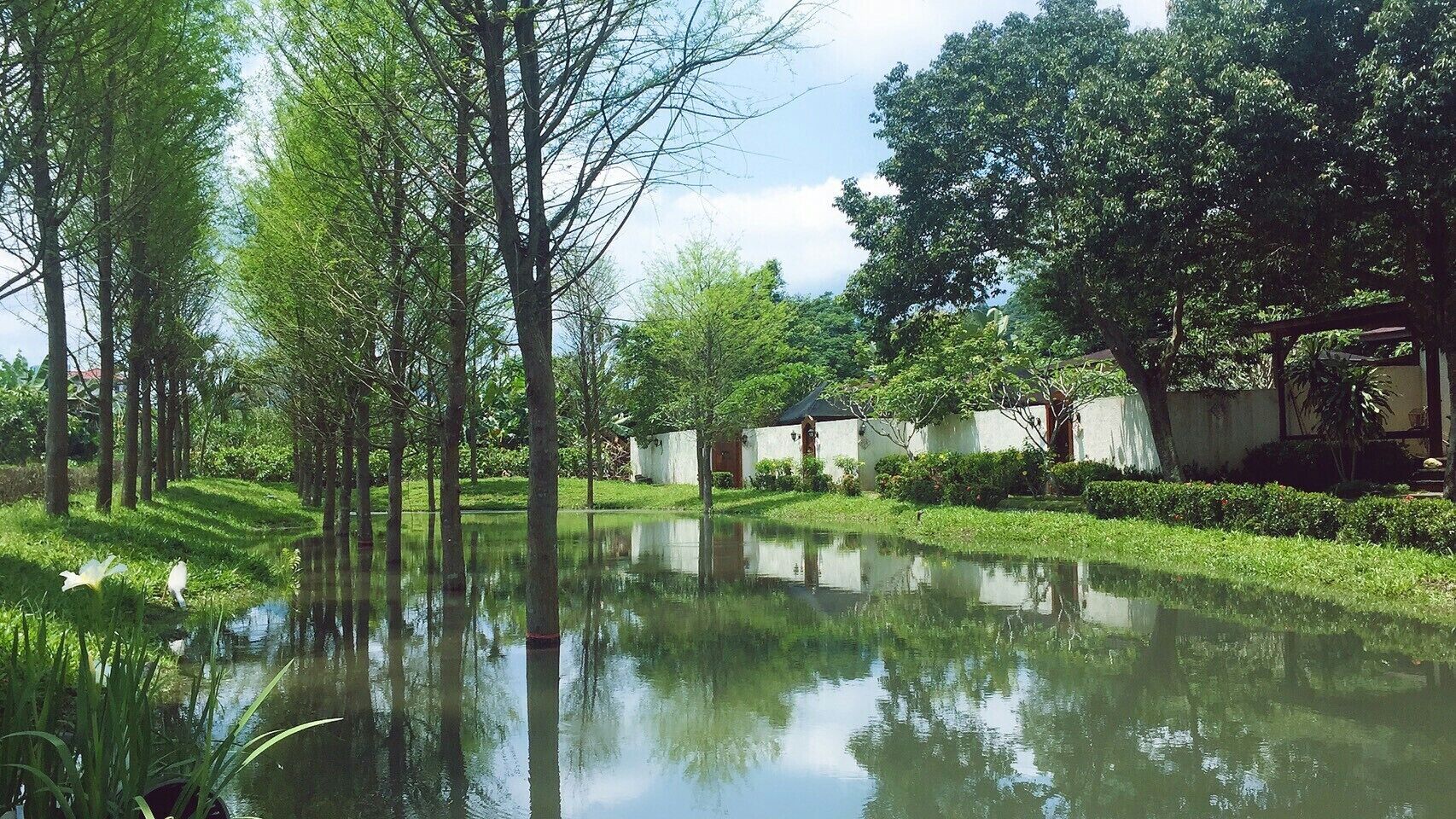 Kawasan hartanah
