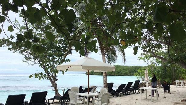 A beachside seating area with lounge chairs and tables under umbrellas, overlooking the ocean.